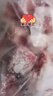 高金食品 豬排骨粒4斤 新鮮速凍 烤肉食材煲湯 源頭直發(fā) 曬單實(shí)拍圖