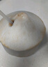 佳農(nóng) 泰國進口椰青9粒裝 單果900g+ 贈開椰器吸管 生鮮水果 源頭直發(fā) 曬單實拍圖