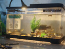 闊庭魚缸懶人魚缸家用客廳辦公室金魚缸過濾魚缸黑色款 曬單實(shí)拍圖
