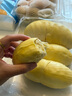 佳沛（zespri）新西蘭 陽光金奇異果12粒禮盒特大果單果約122-146g 獼猴桃 水果 曬單實拍圖
