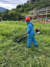 東成汽油割草機(jī)FF03-CXB-1.45KW汽油割灌機(jī)打草機(jī)除草機(jī)斜挎式割草機(jī) 曬單實(shí)拍圖