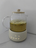 康寧養生壺全玻璃恒溫壺煮茶壺煮茶器1.6L 辦公室熱牛奶神器家用花茶壺電熱水壺煮水壺 【國家補貼】 1.6L 基礎款【24小時(shí)預約 恒溫保溫】 曬單實(shí)拍圖