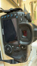 佳能/Canon 5D3 5D4 5D2 6D 6D2 5DS 5DSR 全畫幅二手單反相機(jī) 佳能5D4+50 1.8 STM套機(jī) 【準(zhǔn)新】 曬單實(shí)拍圖