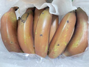 麗雯福建紅美人香蕉整箱應(yīng)季新鮮水果香甜土樓紅皮banana水果福建漳州 5斤 曬單實(shí)拍圖