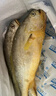 鴻順【冰鮮】黃花魚4條4斤 生鮮魚類 寧德大黃魚 地標產(chǎn)品 源頭直發(fā) 曬單實拍圖