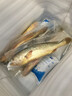 正宗大陳島大黃魚東海黃花魚新鮮活冷凍深海臺州海鮮水產(chǎn)中秋禮盒 0.7-0.9斤每條 2條裝 曬單實拍圖