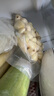 【方便菜】蒜米400g 曬單實拍圖