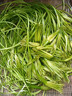云南特產(chǎn)水性揚(yáng)花洱海菜特色新鮮蔬菜網(wǎng)紅菜大理海菜花包郵 2斤 曬單實(shí)拍圖