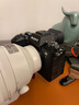 索尼（SONY）Alpha 1 II 新一代全畫幅微單?旗艦(ILCE-A1M2/α1 II/A1 二代)打鳥 注冊(cè)發(fā)貨 A1二代【贈(zèng)品牌快充】 曬單實(shí)拍圖