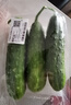 【水果菜】東北旱黃瓜約550g 曬單實拍圖
