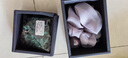 Royal sasa皇家莎莎頭飾發(fā)圈桑蠶絲發(fā)帶彈力護發(fā)不傷發(fā)飾無痕大腸圈 仙蹤綠GR 曬單實拍圖