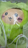 名創(chuàng)優(yōu)品（MINISO）chiikawa睡衣毛絨公仔毛絨玩具玩偶擺件禮物女Kurimanju栗子饅頭 曬單實(shí)拍圖