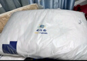 南極人（home）乳膠枕頭枕芯睡眠深度頸椎枕護頸枕睡覺專用天然橡膠成人整頭抗菌 云端乳膠護頸枕圓點藍 【低中枕】 【48x74cm一對裝】【匠心品質(zhì)】 曬單實拍圖