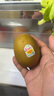 佳沛（zespri）佳沛奇異果新西蘭進口陽光金果黃心獼猴桃節(jié)日送禮 【禮盒】12顆特大果約110-130g 【JD順豐-送貨上門】 曬單實拍圖