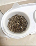 派迪諾（PAIDINUO）寵物深海魚油片貓咪狗狗防掉毛護(hù)膚美毛營養(yǎng)魚肝油 200片/1瓶 曬單實(shí)拍圖