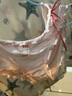 果殼（Gukoo）內(nèi)褲女春夏HelloKitty聯(lián)名新款抗菌純棉襠女士內(nèi)褲 內(nèi)褲組合3條 L 曬單實(shí)拍圖