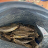 春江月香酥小黃魚酥干500g烤魚片即食黃花魚海味休閑零食旗艦店 【原香味約68條】250g*1袋 曬單實(shí)拍圖