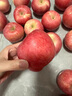 煙臺蘋果水果棲霞紅富士新鮮生鮮果山東特產(chǎn)脆甜 精品果 凈重4.5斤（果徑80mm以上） 曬單實拍圖