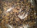 十月稻田  七色糙米2.5kg 東北低脂粗糧 （黑米 紅米 燕麥米 小麥仁） 2袋 曬單實拍圖