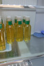 農夫山泉 東方樹葉綠茶500ml*15瓶無糖茶飲料0糖0脂0卡整箱裝夏天解渴飲品 曬單實拍圖