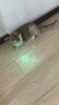 伯班克德國激光筆大功率戶外手電筒二合一強(qiáng)光充電款天文智星激光筆 綠光（450mAh大容量） 曬單實(shí)拍圖