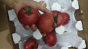 京鮮生沙瓤粉西紅柿 凈重3斤 單果100g+果菜兩吃 源頭直發(fā) 【搜生鮮館】 曬單實(shí)拍圖