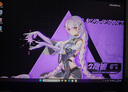 七彩虹隱星G16 Pro 2025旗艦新款16英寸 14代酷睿i9 RTX5070ti/5080/5060 P16游戲筆記本電腦高性能設(shè)計 標(biāo)i9-13900HX/5070TI/32G1T 電競獨顯 曬單實拍圖