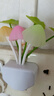 光控荷葉蘑菇睡眠感應(yīng)夢幻變色蘑菇 led節(jié)能護(hù)眼臥室床頭小夜燈 光控荷葉-七彩變色[2個] 曬單實拍圖
