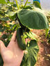 Smorss【頂配除塵倉】適用華為Mate70Pro/70Pro+防窺手機(jī)膜優(yōu)享版陶瓷膜RS軟膜保護(hù)膜非鋼化膜淡指紋 曬單實(shí)拍圖