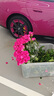 米其林（MICHELIN）輪胎 265/40R20 104Y PILOT SPORT EV ACOUSTIC DT 適配小米SU7 曬單實拍圖