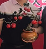高端全銅柿柿事事如意柿子擺件中式客廳玄關(guān)家居裝飾品工藝品大氣 【四季平安】45*22*39重4.5kg 曬單實(shí)拍圖