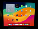 Apple【補(bǔ)貼鉅惠】ipad Pro 11/13英寸 M4芯片 24款蘋果平板電腦 13英寸深空黑 1TWiFi版【原裝未使用】 曬單實拍圖