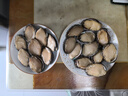 森農(nóng)樂鮑魚鮮活冷凍特大生鮮大號(hào)貝類海鮮水產(chǎn)超大即食佛跳墻食材鮑魚汁 10-13只/斤【大號(hào)鮑2斤 實(shí)發(fā)20-24只】 曬單實(shí)拍圖