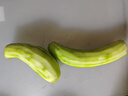 山東長(zhǎng)絲瓜綠皮絲瓜長(zhǎng)絲瓜水瓜新鮮蔬菜生鮮絲瓜現(xiàn)摘 精品絲瓜 3斤 凈重 曬單實(shí)拍圖