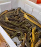 魔荒抓黃鱔專用誘餌鱔魚餌料誘食劑捕捉黃蟮泥鰍鱔魚王神器專用誘餌藥 1袋裝【黃鱔聞味來(lái)】 曬單實(shí)拍圖