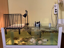 森森（SUNSUN）耀藍魚缸過濾器外置小型壁掛式過濾桶抽水泵YBG-500 7W 曬單實拍圖