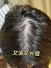德川家康二硫化硒洗發(fā)水去屑止癢控油持久蓬松毛囊清潔洗劑男女士500g 曬單實拍圖