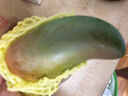 壹萌果蔬金煌芒芒果 當(dāng)季現(xiàn)摘廣西大芒果新鮮水果青皮芒果整箱送禮 5斤精品果【單果150g+】 凈4.5斤 曬單實(shí)拍圖