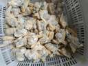 新鮮花甲肉活剝蜆子肉急凍去殼純?nèi)鉄o沙冷凍蛤蜊文蛤貝殼肉 活剝蛤蜊肉3斤 曬單實拍圖