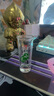 【云南白酒 暢銷50年】云南特產(chǎn)42度清香型白酒蕎花香酒純糧固態(tài) 42度 45mL 2瓶 小蕎酒 曬單實(shí)拍圖