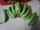 廣西香蕉青皮香蕉banana高山香蕉香甜水果生香蕉農(nóng)家自種香蕉 青皮香蕉生蕉泡沫箱發(fā)貨 凈重2500g 曬單實(shí)拍圖