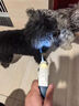 星舵狗狗自動伸縮牽引繩帶燈小中大型犬遛狗繩狗狗出行防暴沖一鍵鎖定 深藍5米自動伸縮牽引繩 曬單實拍圖