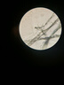 鳳凰（Phenix) XSP-02單目生物顯微鏡640倍專業(yè)高清小學中考教學款 曬單實拍圖