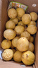 果益壽廣西欽蜜9號(hào)黃金百香果 新鮮水果白香果醬原漿整箱 凈重5斤精選裝 手挑果【單果約60g+】 曬單實(shí)拍圖