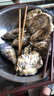 乳山牡蠣 鮮活乳山生蠔3XL 凈重10斤 26-30只 生鮮海鮮 源頭直發(fā) 中秋聚餐 曬單實(shí)拍圖