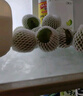 尋良萬(wàn)畝威海青皮無(wú)花果【順豐空運(yùn)-多地次日達(dá)】榮成特產(chǎn)新鮮水果送禮 3斤裝丨1斤7-12個(gè)左右 凈2.7斤 4A品質(zhì)丨甜 曬單實(shí)拍圖