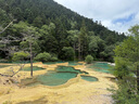得力（deli）12塊2B橡皮擦自動鉛筆 白色易擦少屑開學(xué)文具學(xué)生中考高考開學(xué)考試文具美術(shù)繪圖橡皮 曬單實(shí)拍圖