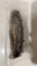 久年大連即食海參1000g10-18只京東自營 固形物超85% 遼刺參海鮮禮盒 曬單實(shí)拍圖