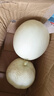 粵迎玉菇甜瓜冰淇淋香甜瓜當季軟糯香甜山東水果綠肉當季現貨應季生鮮 5斤精選裝【老農手挑】?jì)?.5斤 曬單實(shí)拍圖
