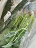 【產(chǎn)地直采】大菠菜300g 曬單實(shí)拍圖